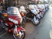MAD RUN'11 001.jpg
